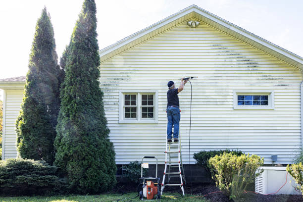 Best Gutter Cleaning  in Ninety Six, SC
